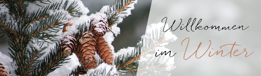 Abbildung Willkommen im Herbst bei Schmiederer Mode in Achern